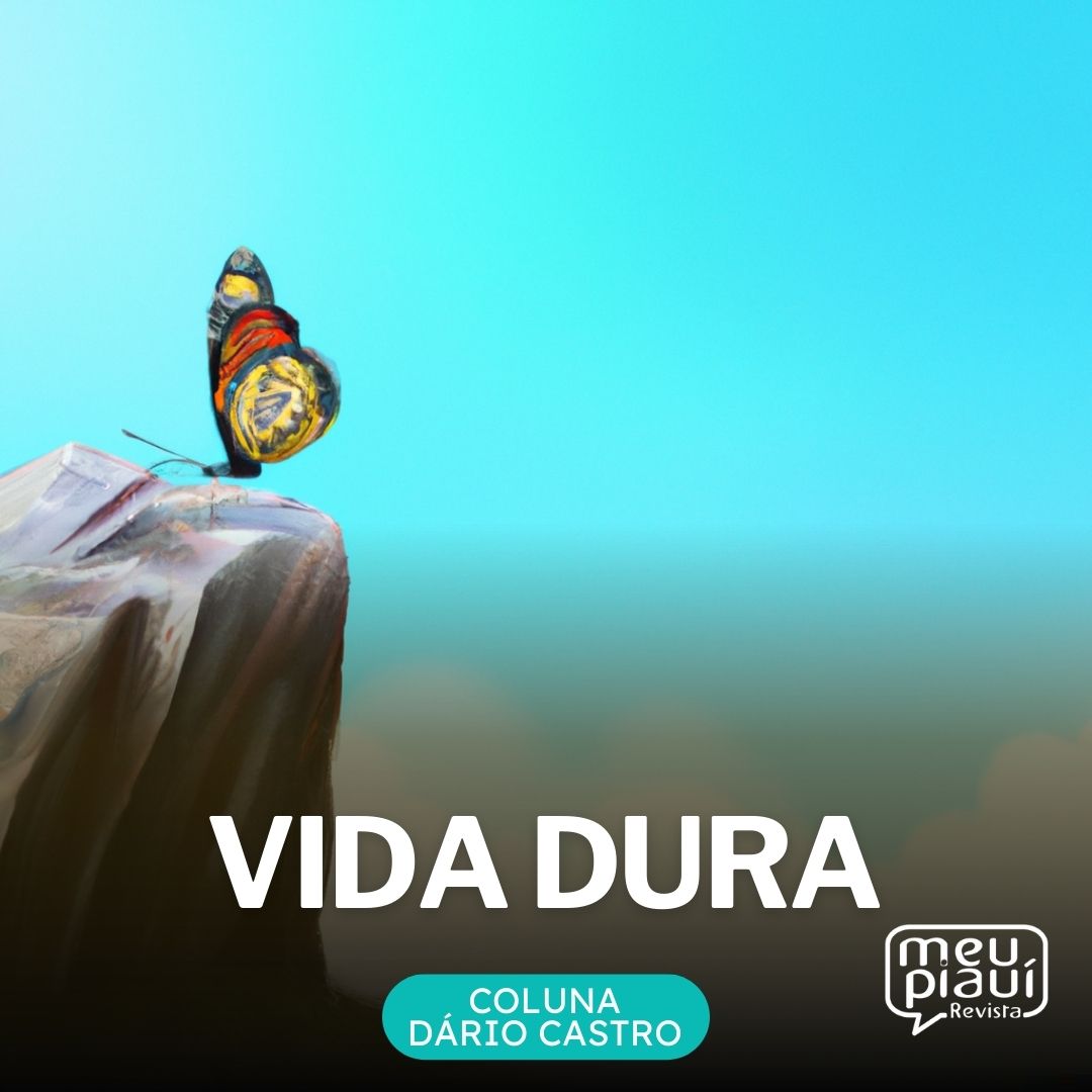 Ilustração de uma borboleta em cima de uma pedra, num penhasco com o céu de fundo. Vida Dura. Coluna Dário Castro. Revista Meu Piauí.