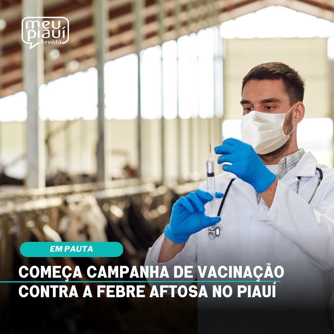 campanha de vacinação contra a febre aftosa no Piauí