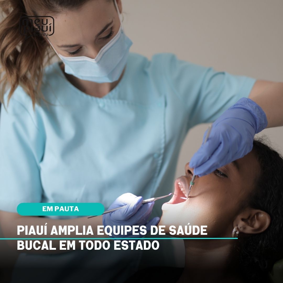 equipes de saúde bucal no Piauí